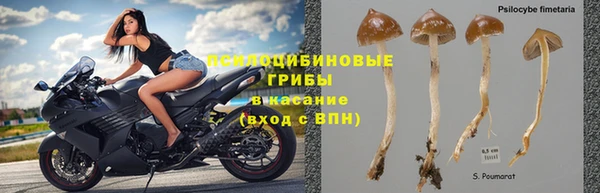гидропоника Абинск