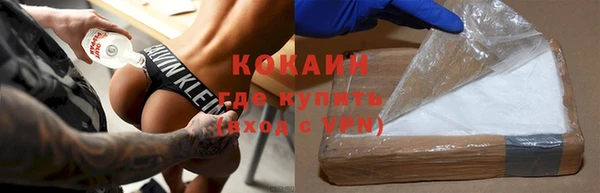 гашик Дмитровск