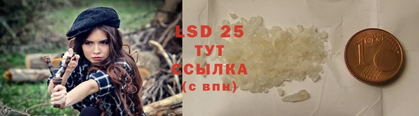 ПСИЛОЦИБИНОВЫЕ ГРИБЫ Абаза
