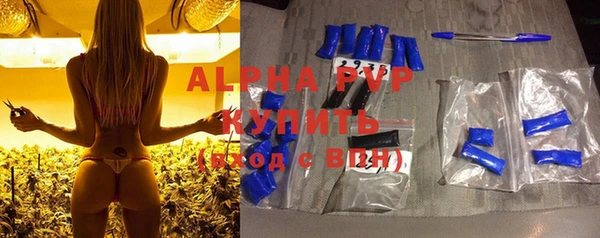 ПСИЛОЦИБИНОВЫЕ ГРИБЫ Абаза