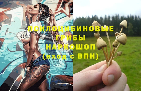 apvp Абдулино