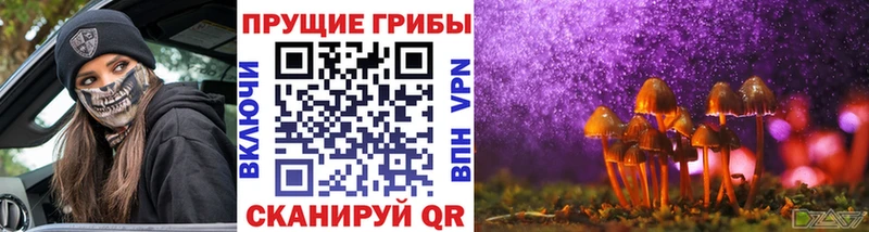 гидра   Ковдор  Галлюциногенные грибы прущие грибы 